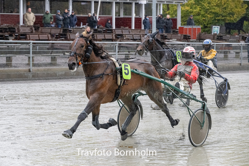 Lucky K med Mads Petersen 17 oktober 2026 Fotograf Torben Ager Travfoto Bornholm TKA 6352