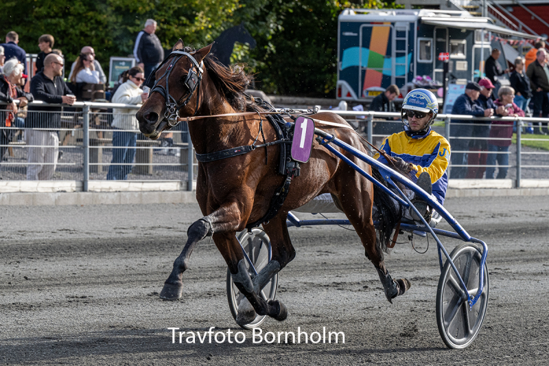 Magic Eyes med Jonas Mikkelsen 3 oktober 2026 Fotograf Torben Ager Travfoto Bornholm TKA 5148