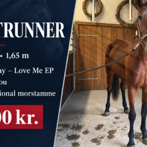Nightrunner