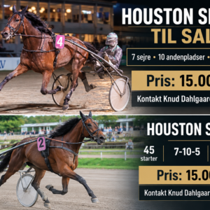 Houston Spring