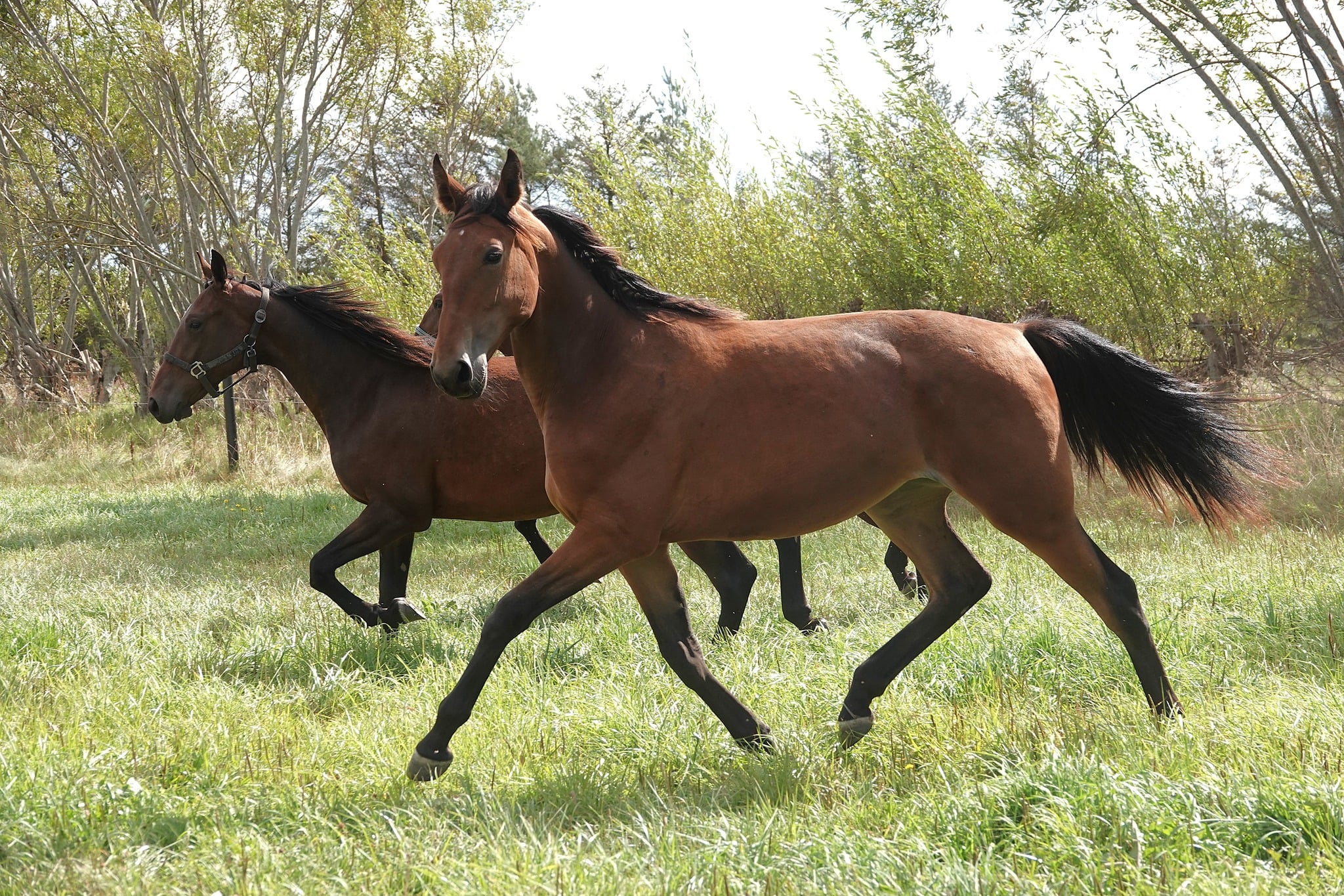 208ff2df 9df8 4649 b323 f3adebdcd218