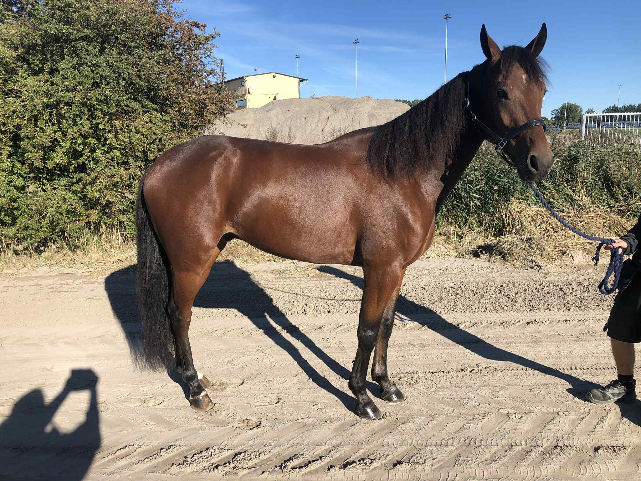 23f8637f 7cbb 4cf5 b529 0bbeb93a6f16