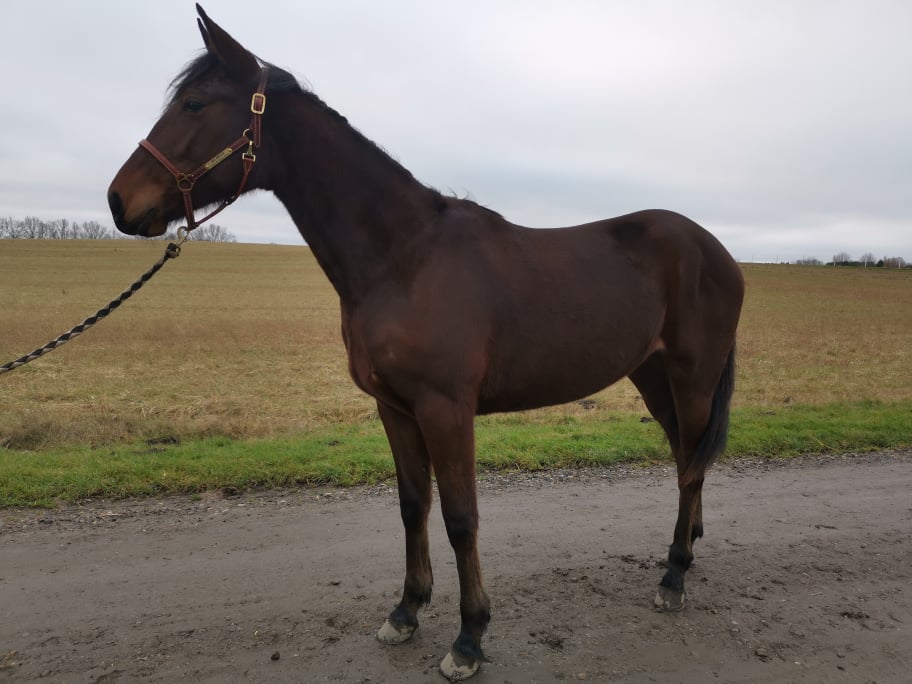 Vi kunne ikke sælge den – vandt 100.000 SEK i dag 271739787_996408767625892_1137888304788980284_n