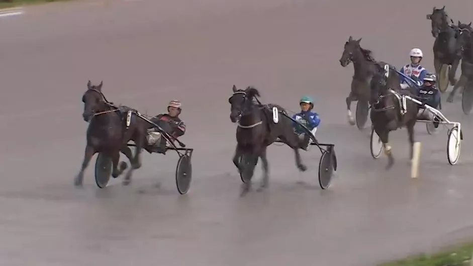 Sur efter løb - Ærgerligt at vi møder en idiotkusk 2b0ea8d642ed5