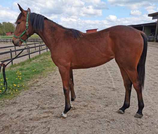 B-prøve også positiv 2df430c1462490b56307323384867bf0