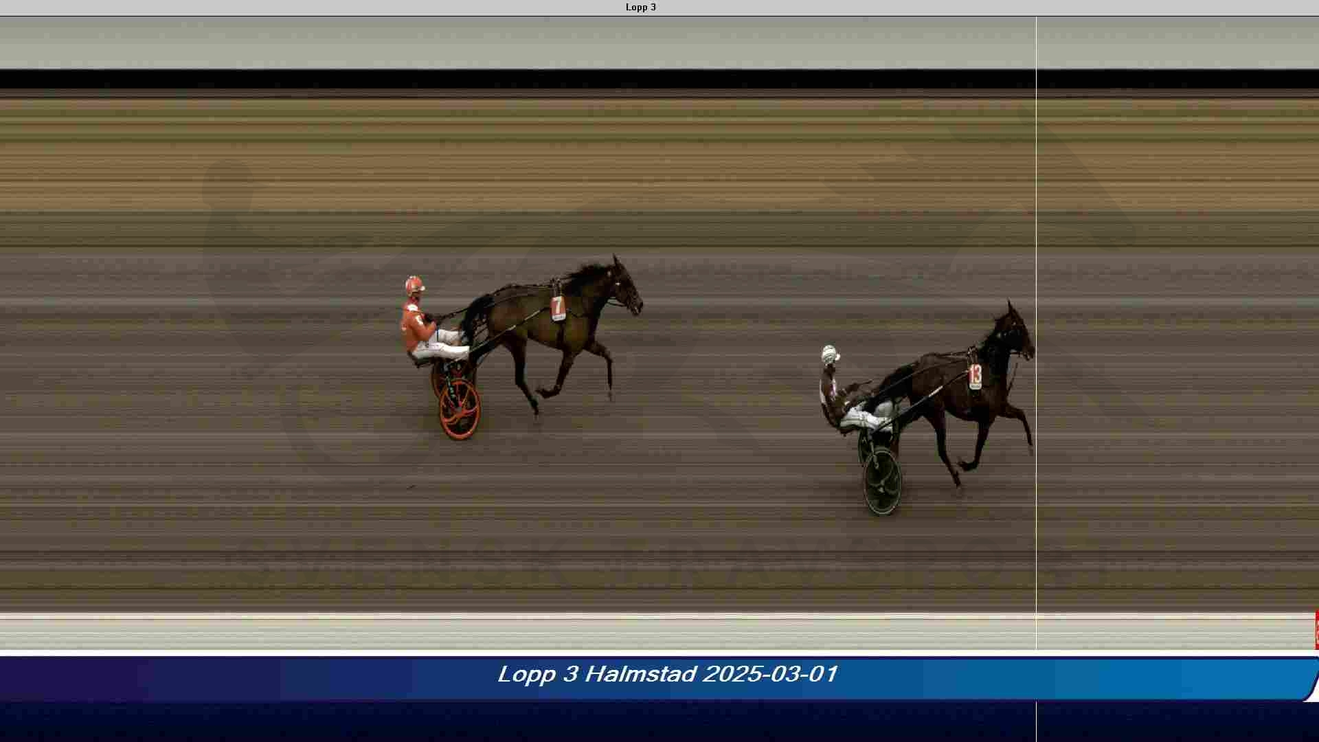 Victor Rosleff triumferer med familiens hest 3