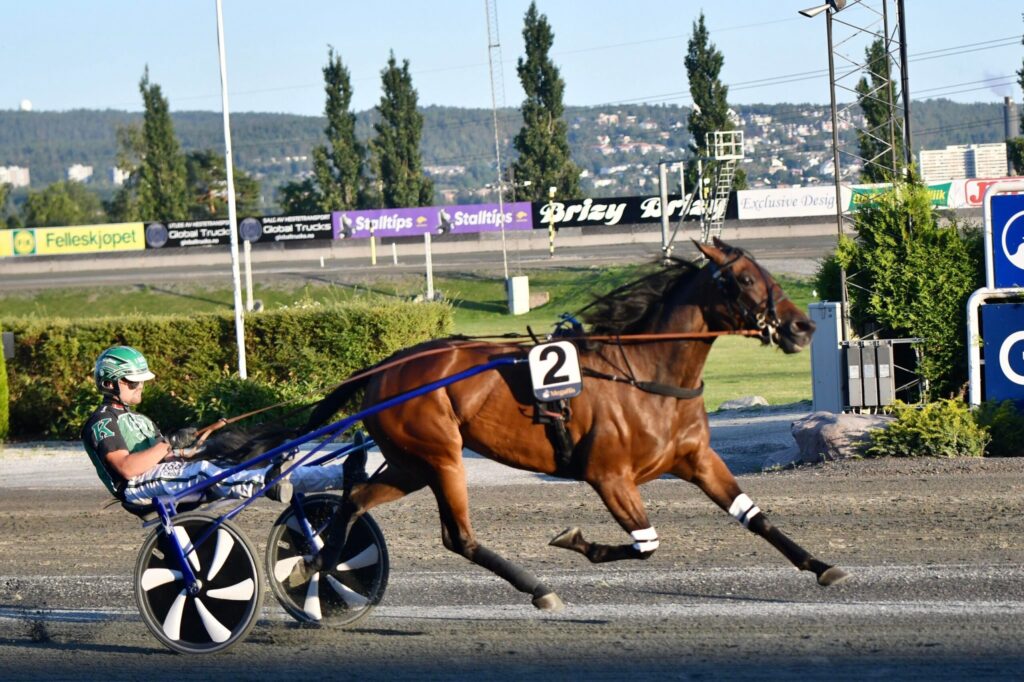 301190026 746074869993811 4629178916389434902 n scaled 1 1024x682 1