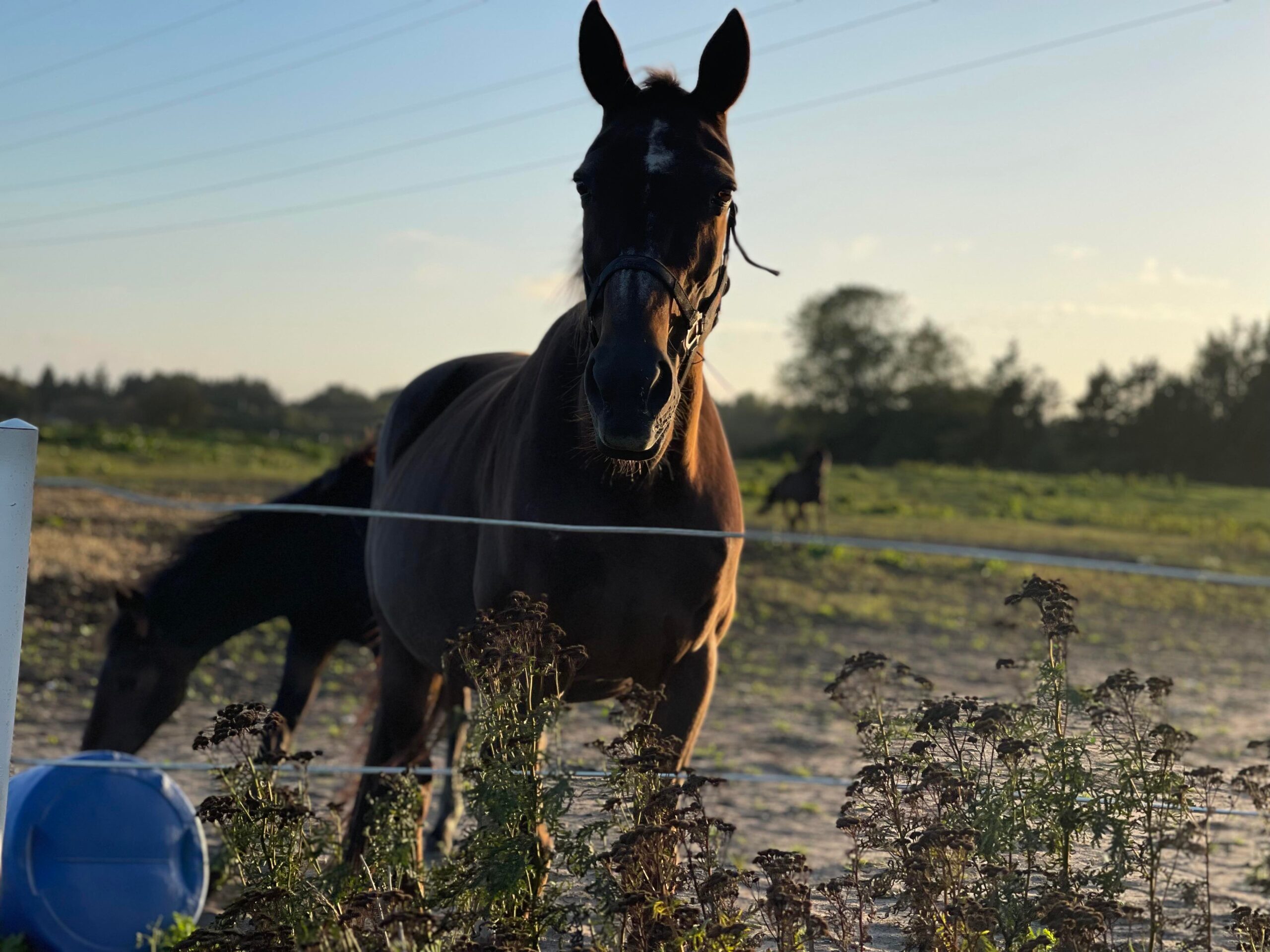 Kort nyt 307020782_757709191962351_2230766927400746653_n