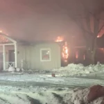 Seks heste omkommet efter voldsom brand på dyreklinik 31730a8d1c515