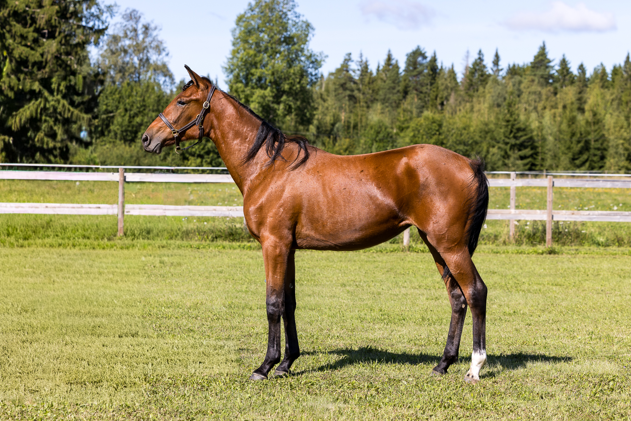 32 five drums 250823 sida