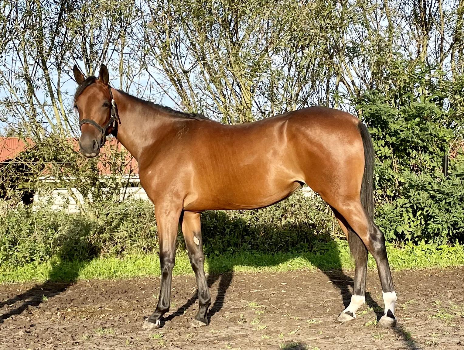 380997431 161420160345709 5287688761942379720 n