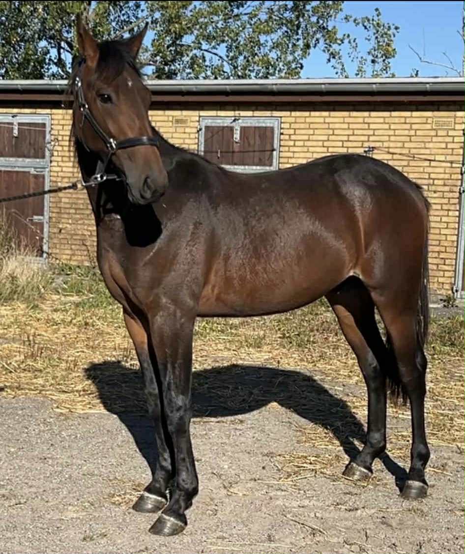 3a050fdb 240a 4318 ad7c 4fa46368f176