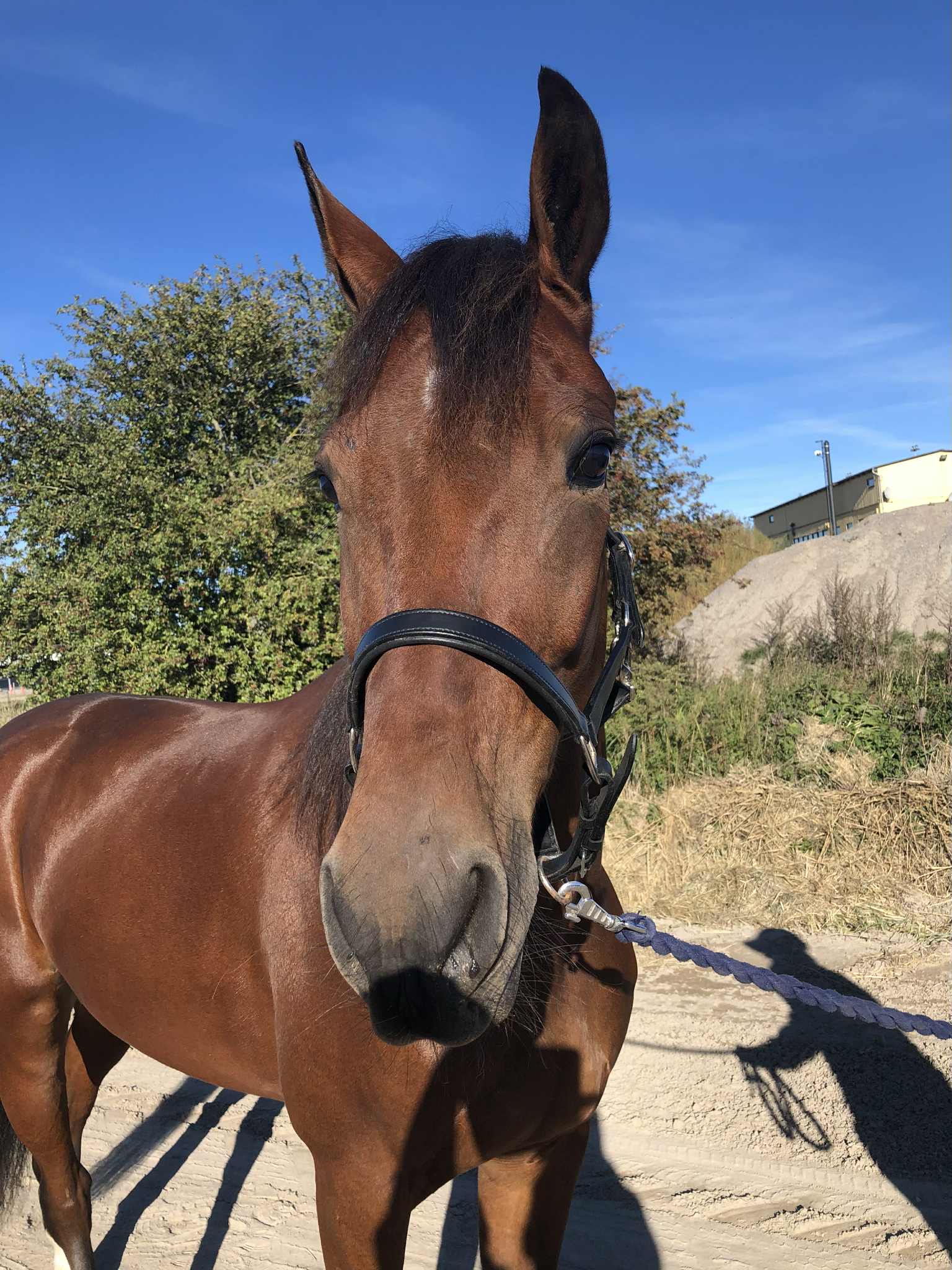 3b2bbae6 6737 4215 922c 63f04d7c8bae