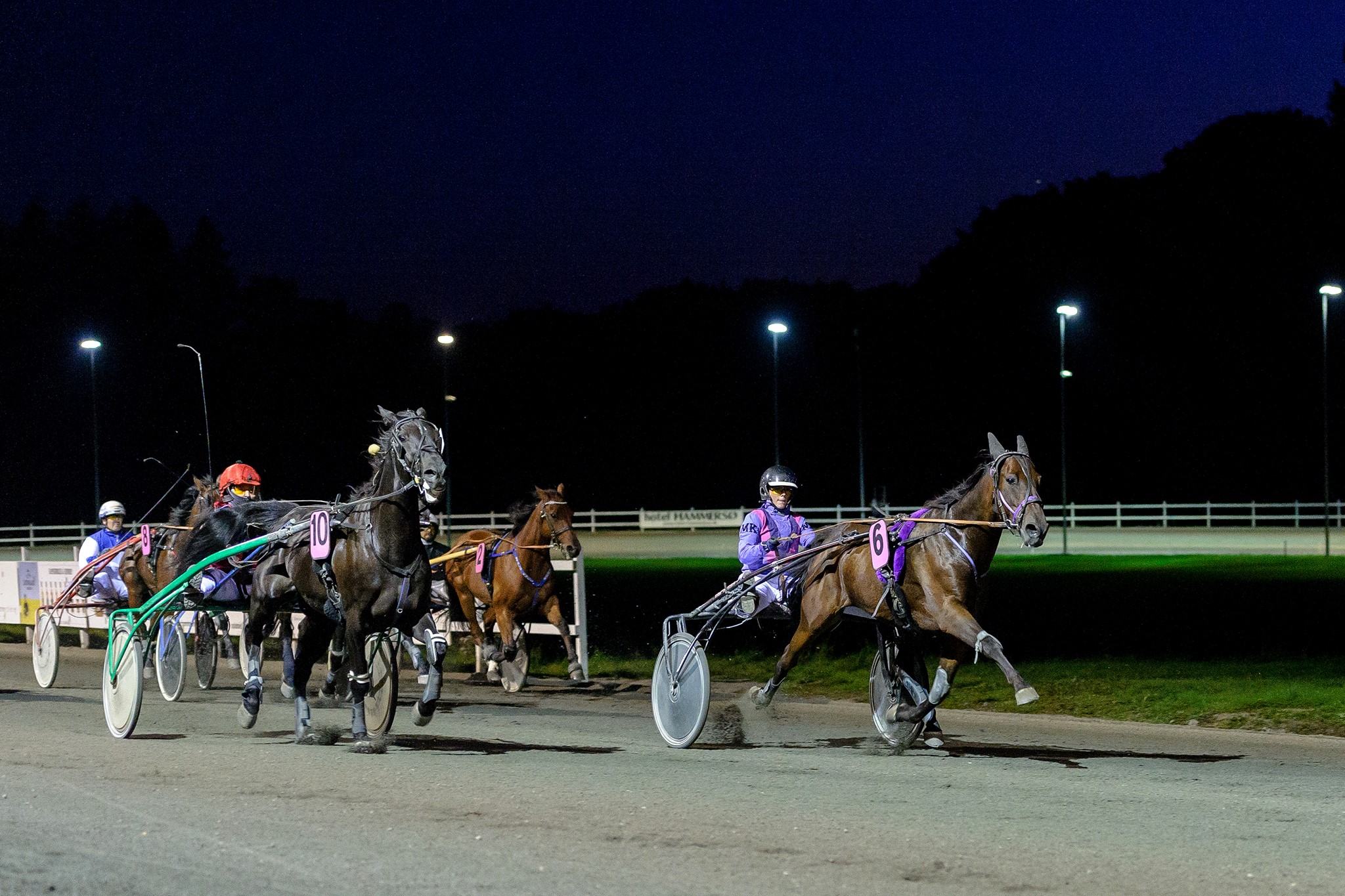 42101591 10217674298908830 7989739867598749696 n