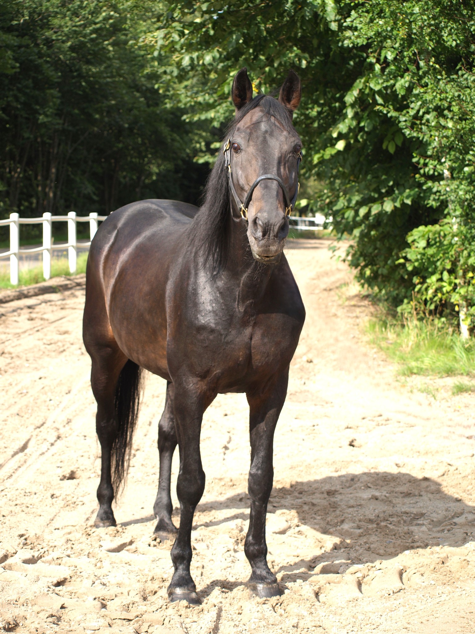 457363312 10161376594249231 6193148540382573971 n