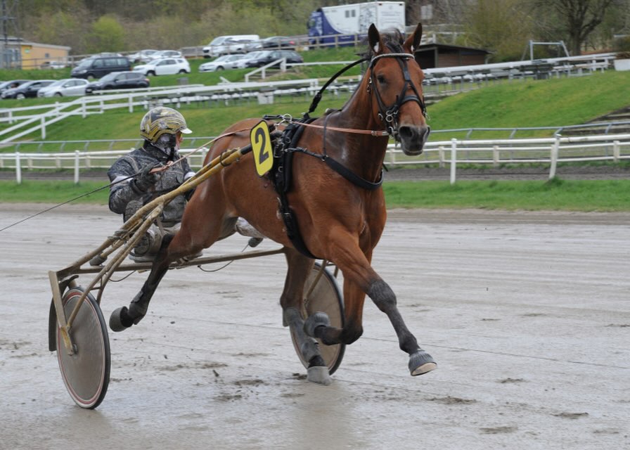 469145724 18042705041232135 2592060858842437920 n