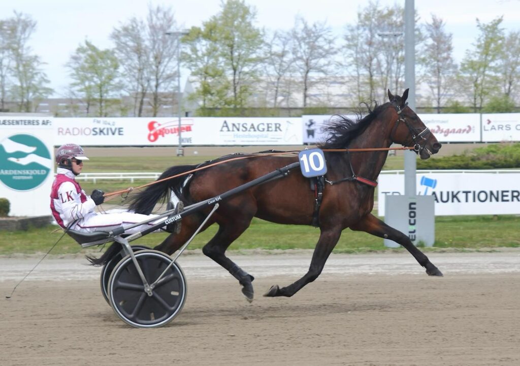 469461402 18051204836096004 6089290102404968083 n 1024x722 1