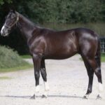 Vixi Forever – et sidste farvel og en ny begyndelse 475529761_960638996160799_1021122740882948749_n