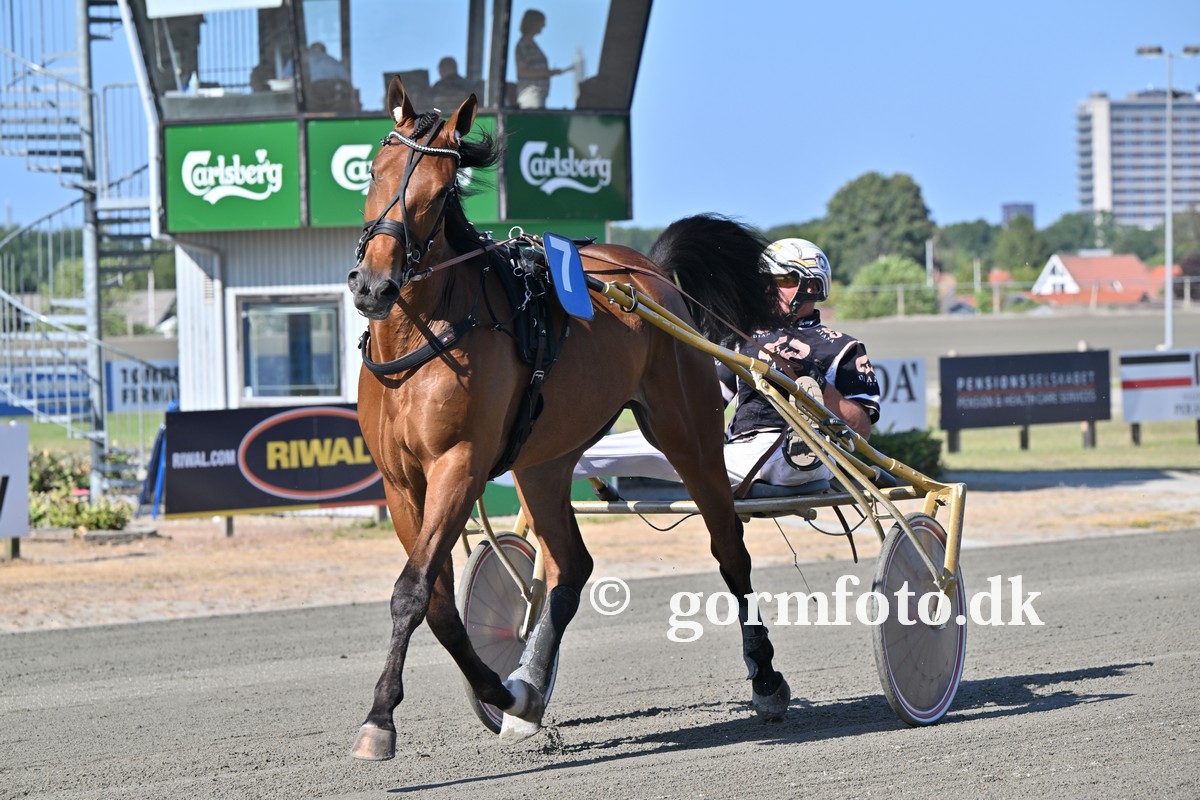 477781896 592335570302447 5051562433648463220 n