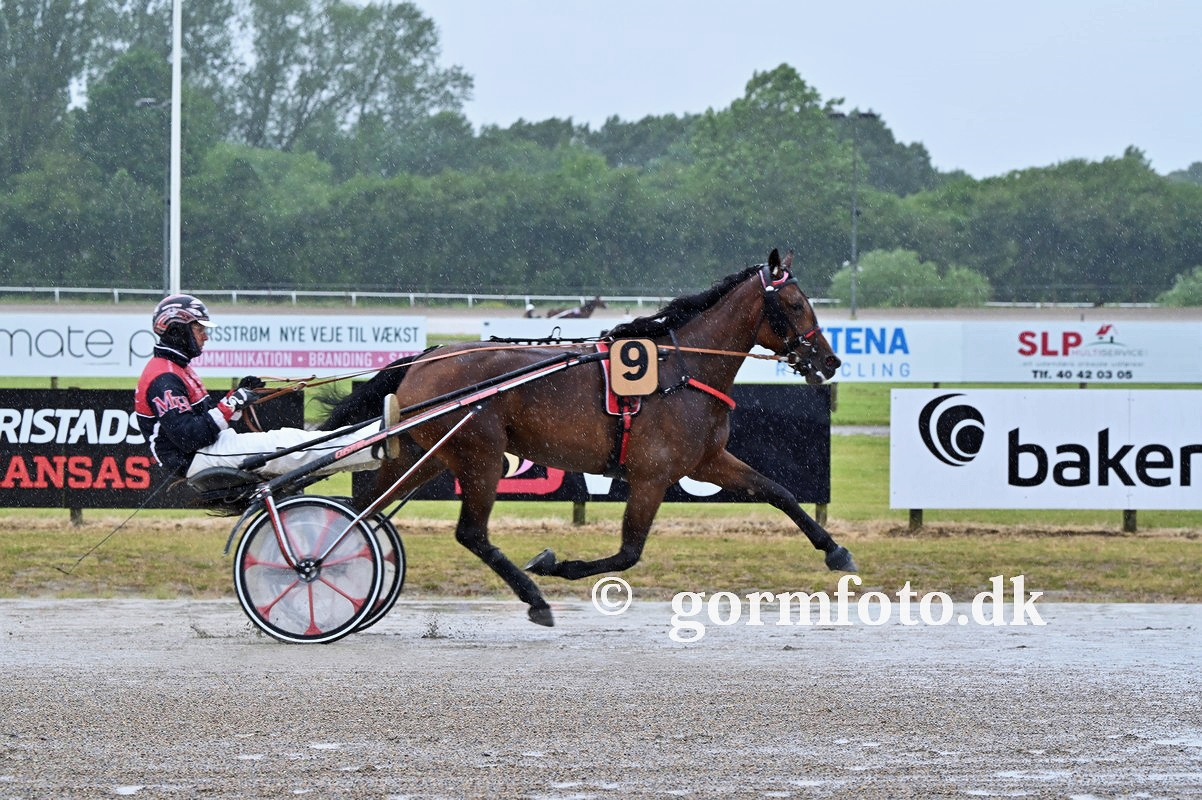 Genopslag - Kristal Mermaid til salg 481947293_611266835075987_7940563160731043281_n