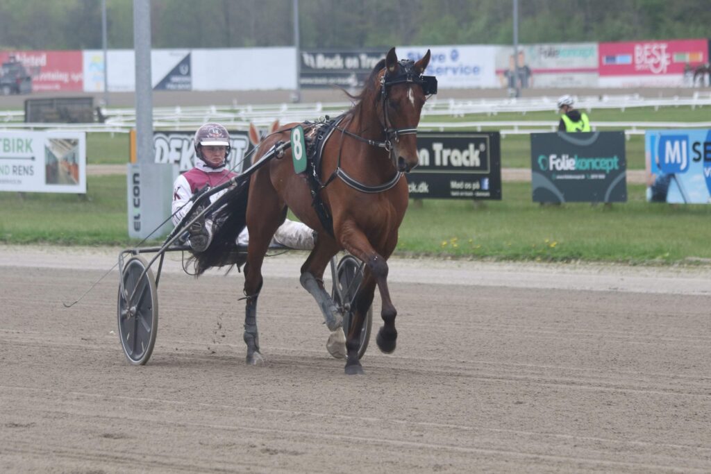 482079420 1838612016964601 5332189711372720864 n 1024x683 1