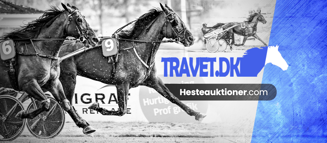 Kort nyt 483368665_1184748536990786_5858586367450623740_n