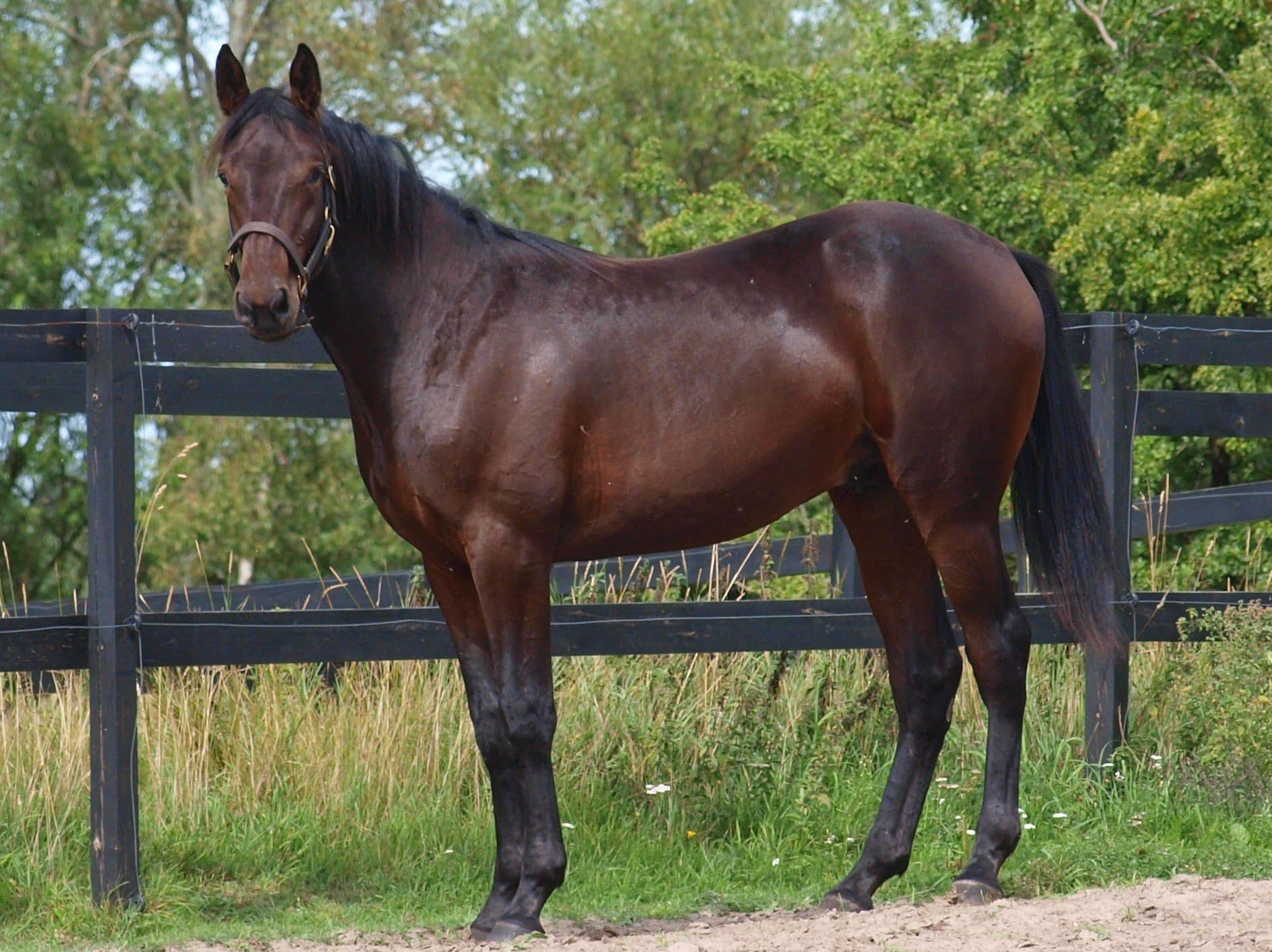 487199627 9863688806995321 8711124616013661534 n 1