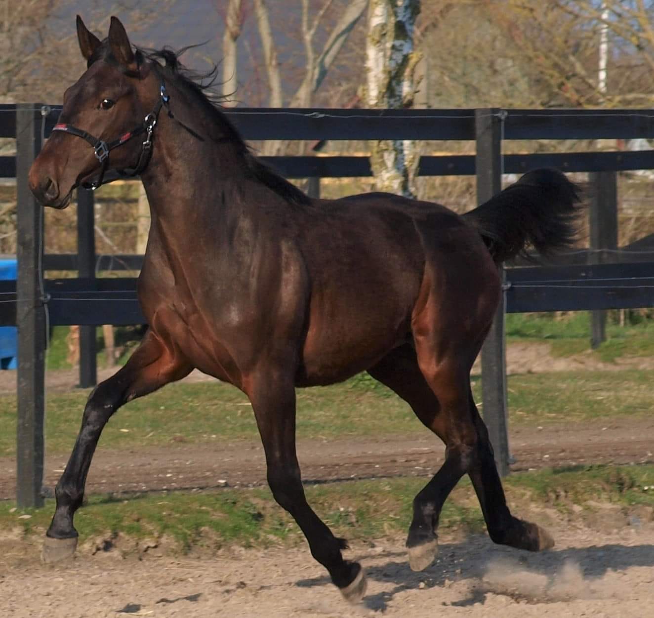 488630920 10228693185698737 2835357512563178428 n