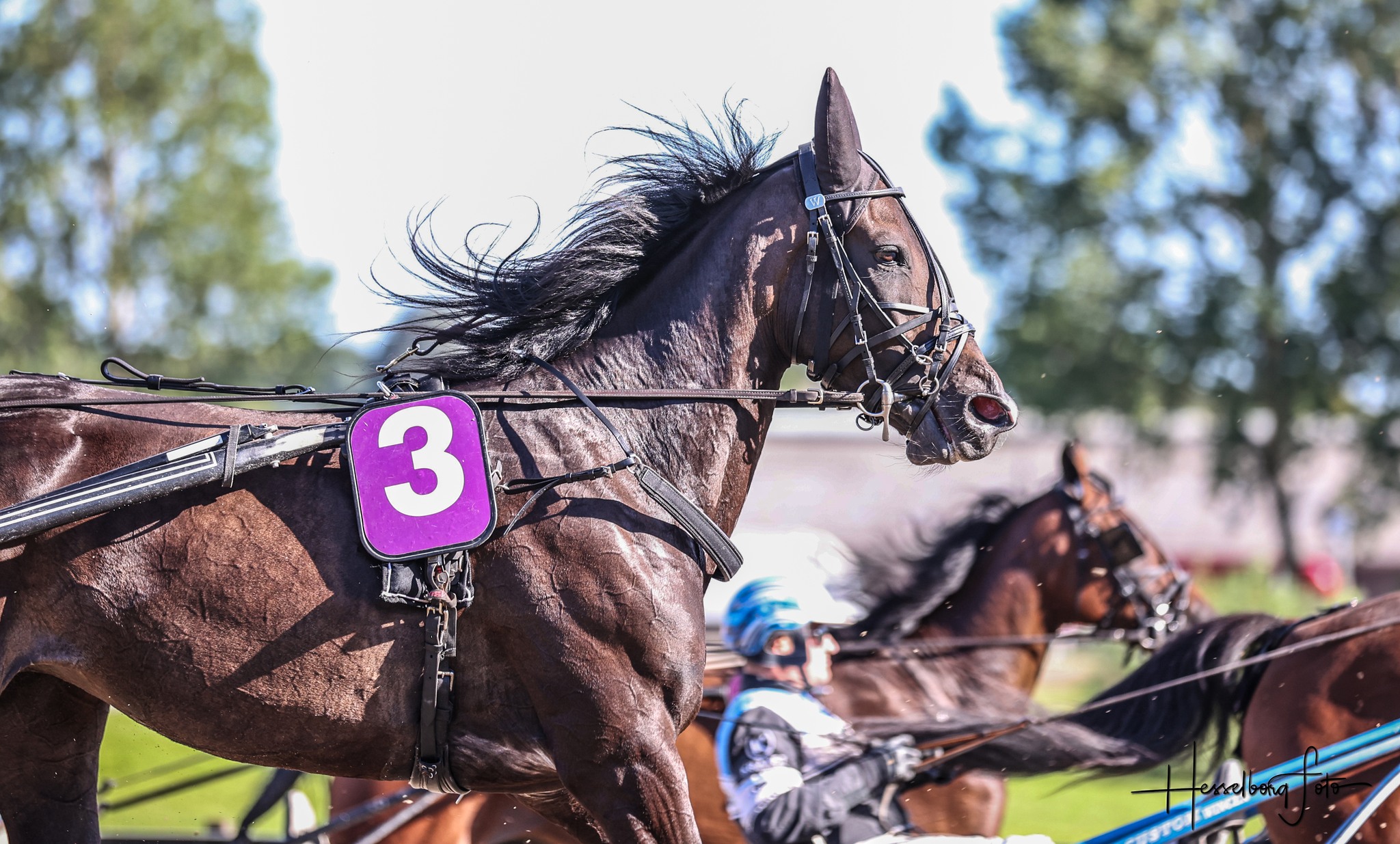 Kort nyt fra ind- og udland 492467680_1260984739365879_680284094928918521_n