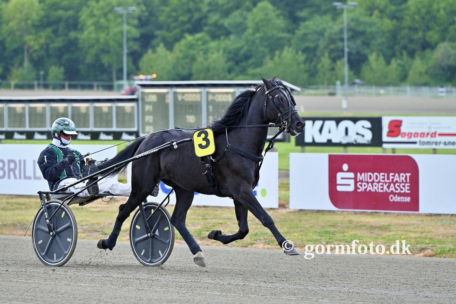 499933360 669455525923784 7059023054314254271 n