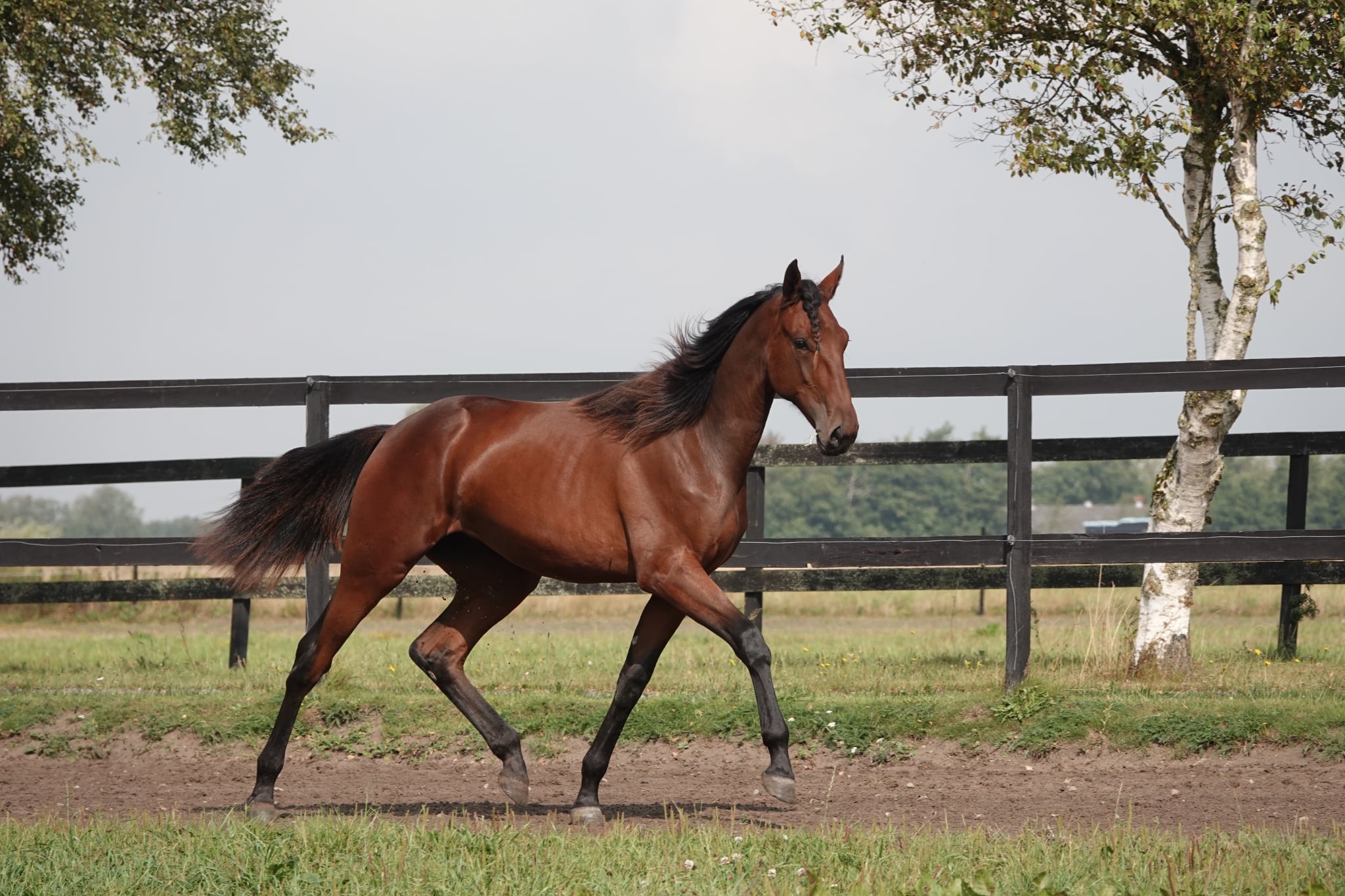 Kort nyt 49eb4da4-6ed7-47a1-868e-efb603217813