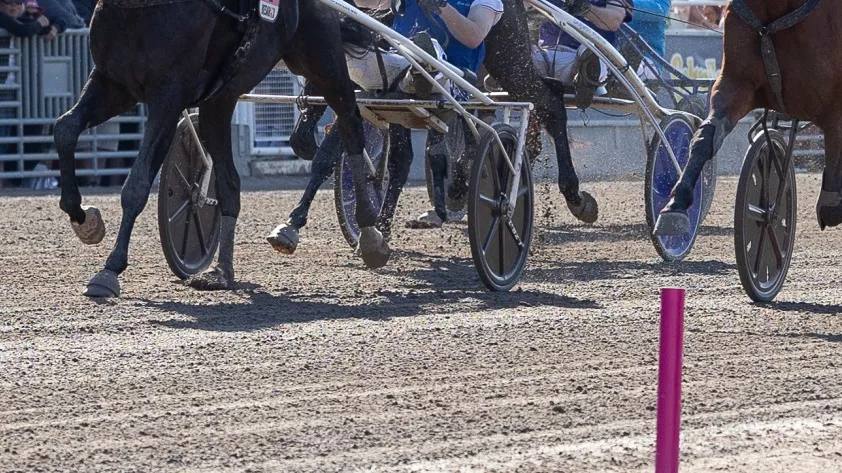 Kort nyt fra ind- og udland 4dab039352f60-1