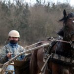 Kort nyt fra ind- og udland Korfitsen