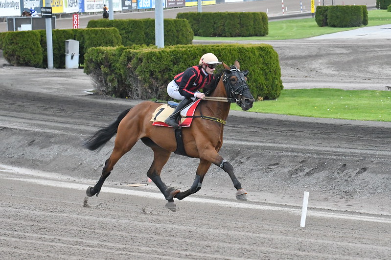 52107641045 fe58e28521 c