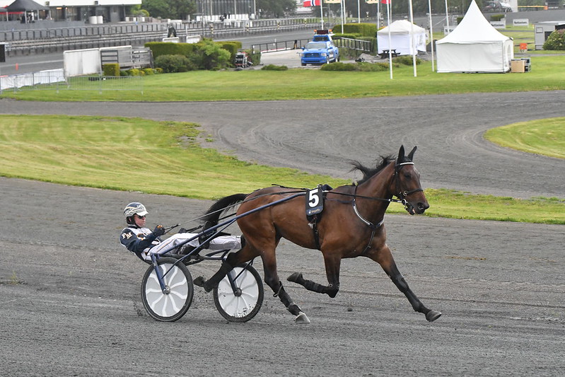 52138830665 8f2a9ac768 c 1