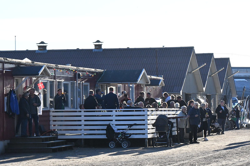 52363029562 58397d1220 c