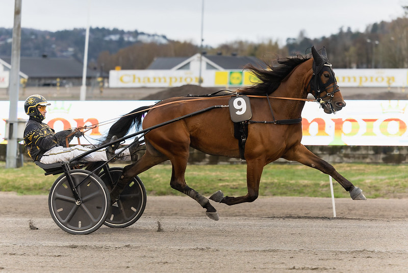 Storløb - Dansk montespecialist til Åby 52844949128_820907cc0c_c