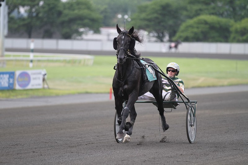 USA: Årelang efterforskning afsluttet yannik
