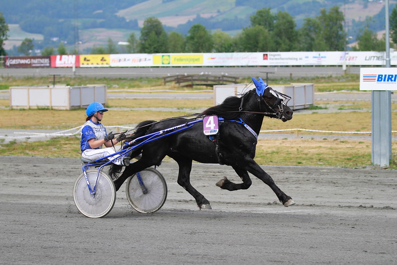 52866140437 86c112656b c