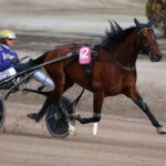 ATG tabte – skal betale millionbøde efter langvarig strid San Moteur