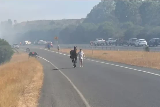 535d416978e20 e1770057816387