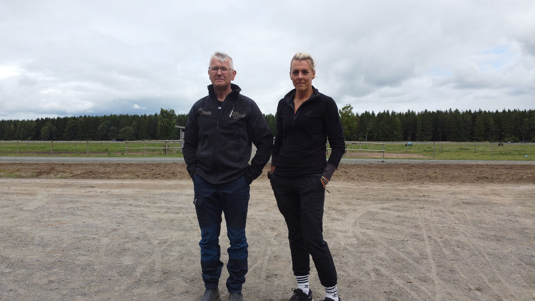 Wise Guy jagter revanche på Solvalla i aften 53829831427_6eba5f4077_k