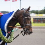 Kort nyt – de seneste travnyheder Demon