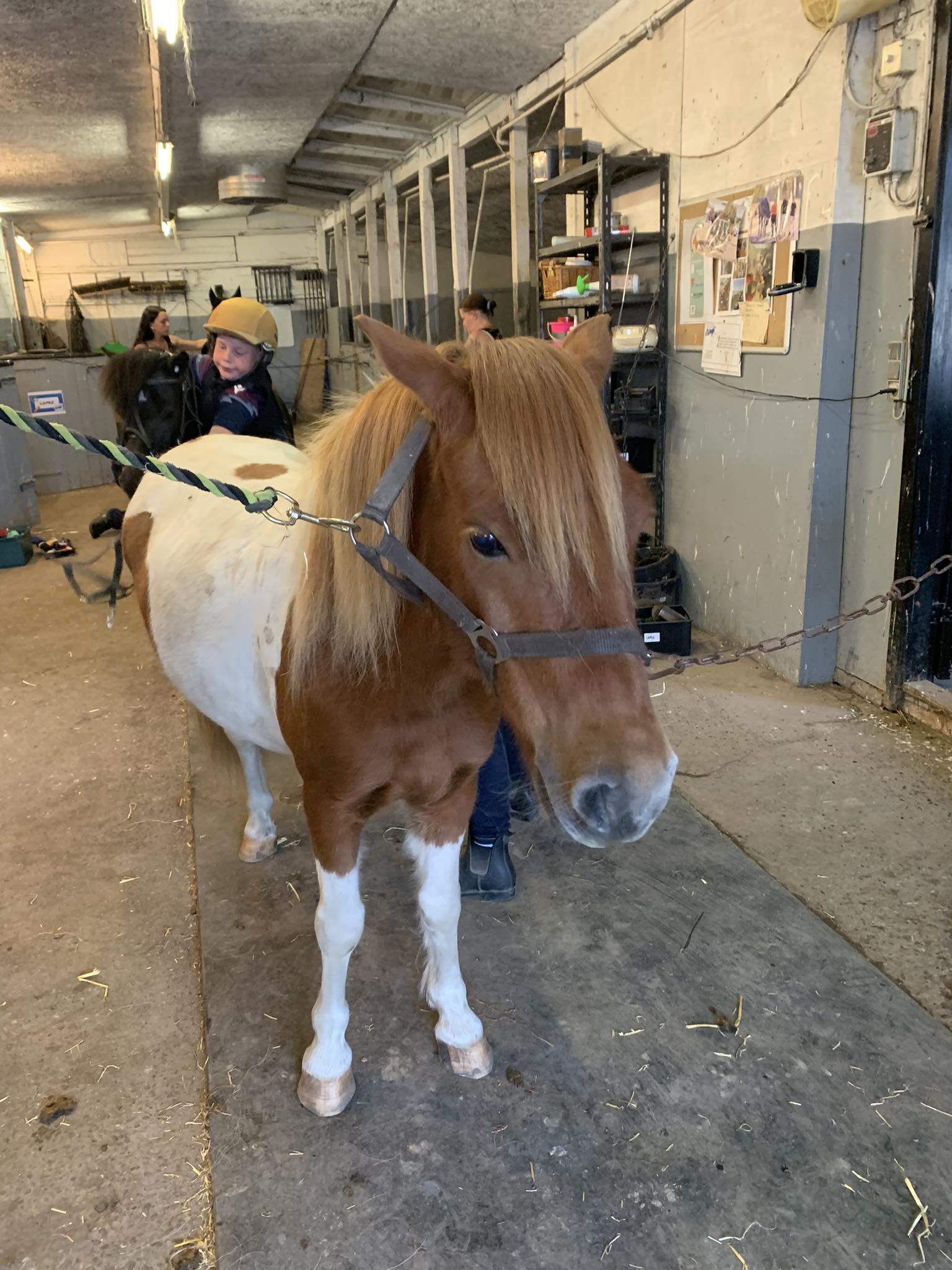 Kort nyt 542692018_24704489752478739_1910974930008012688_n