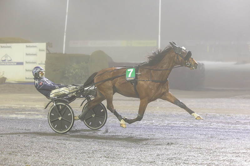 Teknisk fejl kostede millioner Patrick og Kind Of Steel