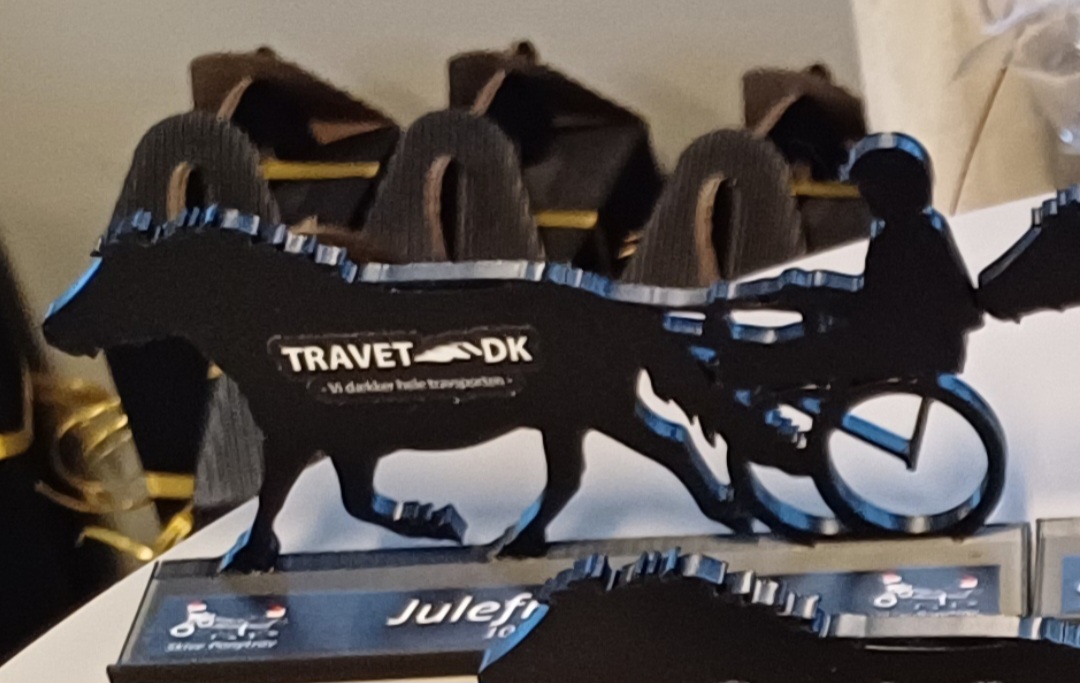 Julefræs på Skive Travbane: Ponyløb og fællesskab i topfart 544983821_1348979550567683_8362279438260100925_n-1