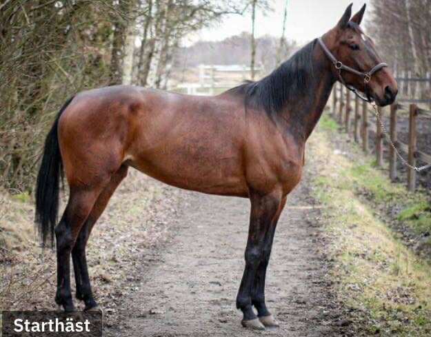 553734390 845652044814303 930289526485177640 n