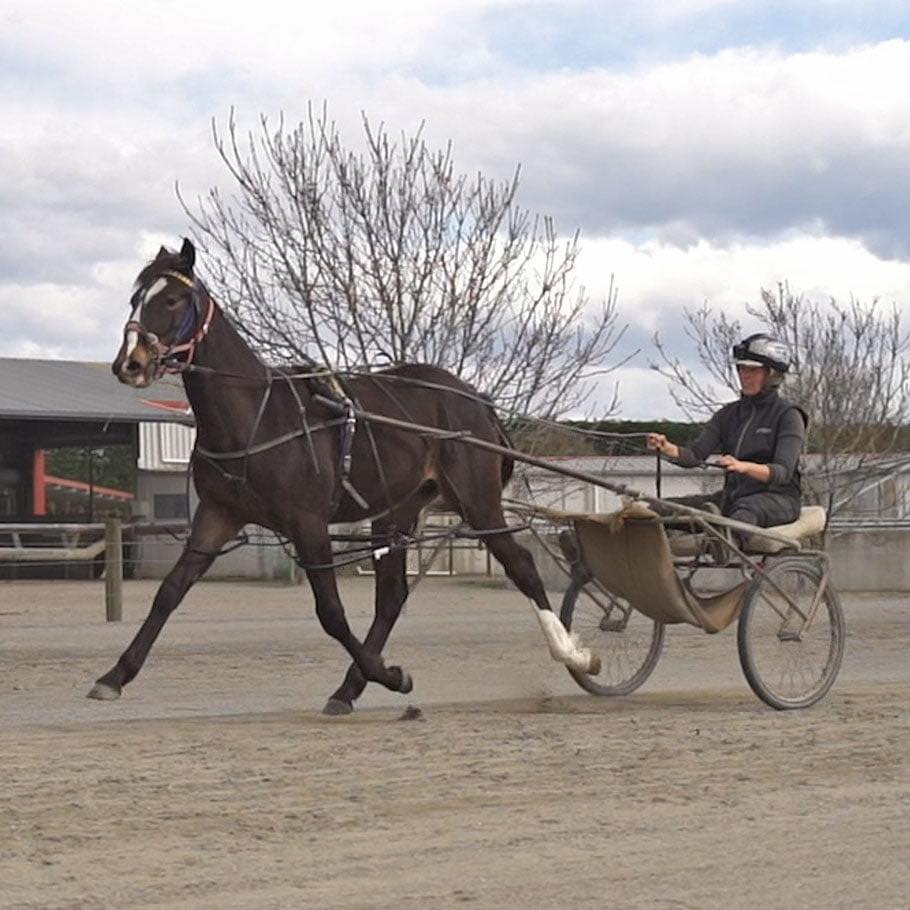 558369539 10236414648178572 2488515197448924618 n