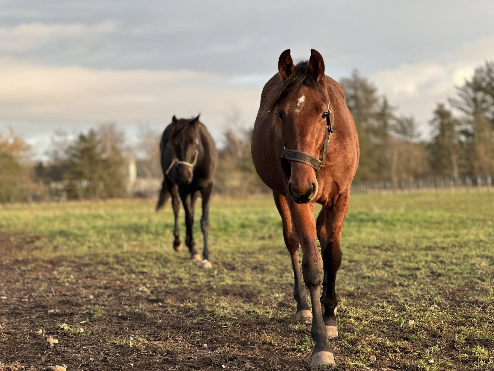 Besøg salgsmenuen - Disse udbydes. 580840839_122111180355027507_8912626399200932397_n