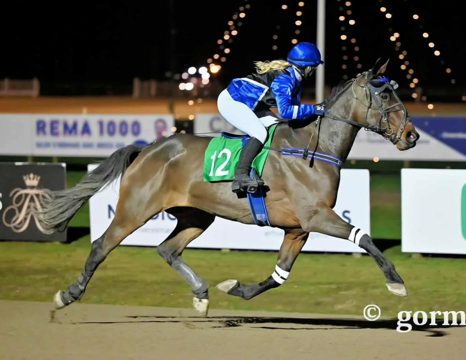 598616617 1089909189836140 3215063865008671973 n